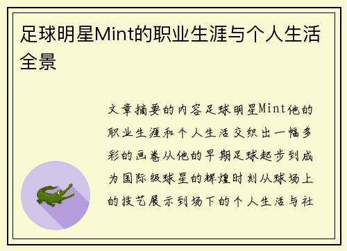 足球明星Mint的职业生涯与个人生活全景