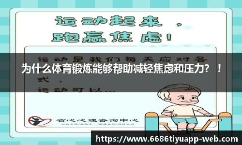 6686体育平台