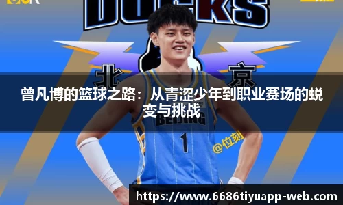 6686体育平台